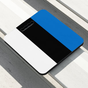 Estonia flag seat cushion