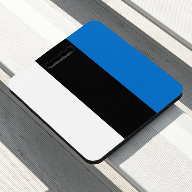 Estonia flag seat cushion (In Situ)