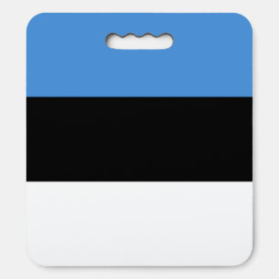 Estonia Flag Seat Cushion