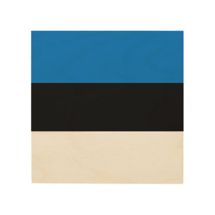 Estonia flag wood wall art