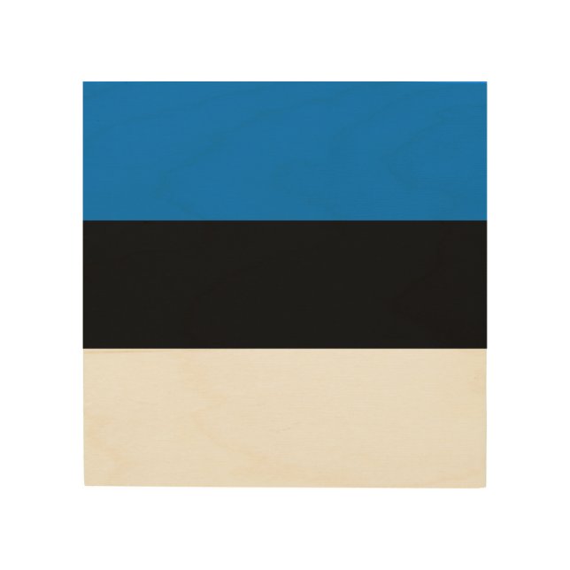 Estonia flag wood wall art (Front)