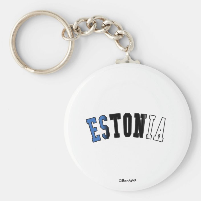 Estonia in National Flag Colors Keychain