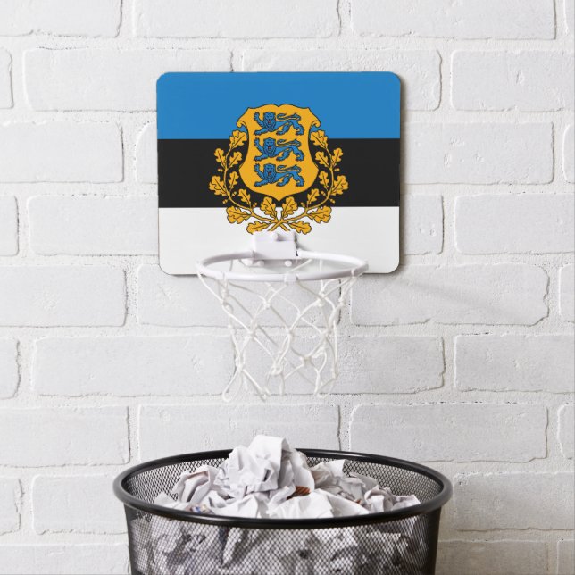 Estonia Mini Basketball Hoop (In Situ)