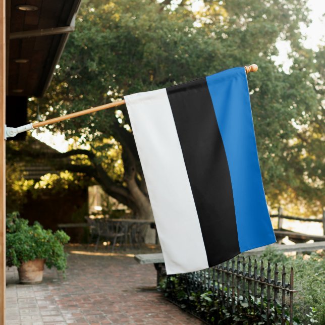 Estonia National Flag (In SItu)