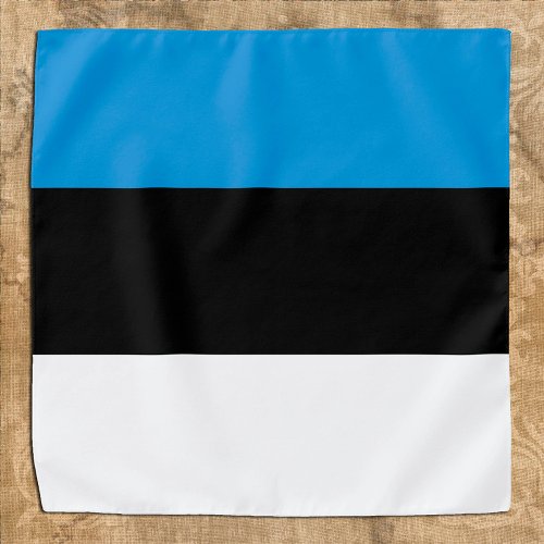 Estonian Flag  Estonia fashion bandana sport fan