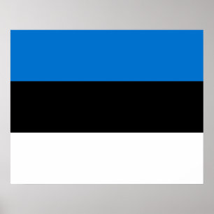 Estonian Flag Poster