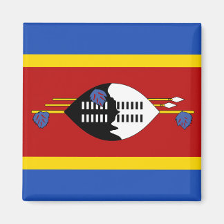 Eswatini Flag Magnet