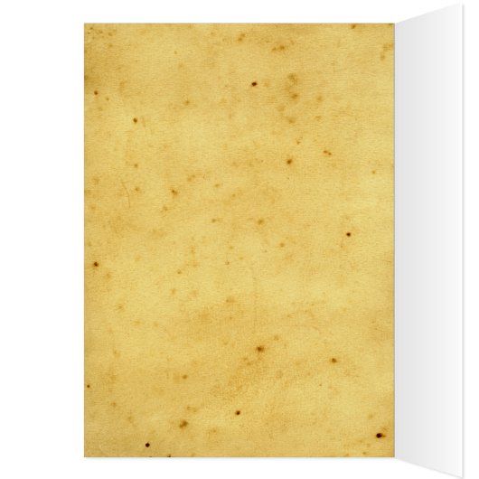 Etain Celtic Goddess with parchment and text (Inside (Left))