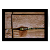 Etant Donn... (Front Horizontal)