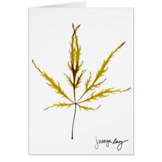 "Etched Leaf" by J. Maya Luz Cards