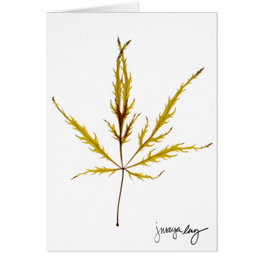 "Etched Leaf" by J. Maya Luz Cards (Front)