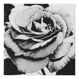 Etched Rose 10x10 Wrapped Print
