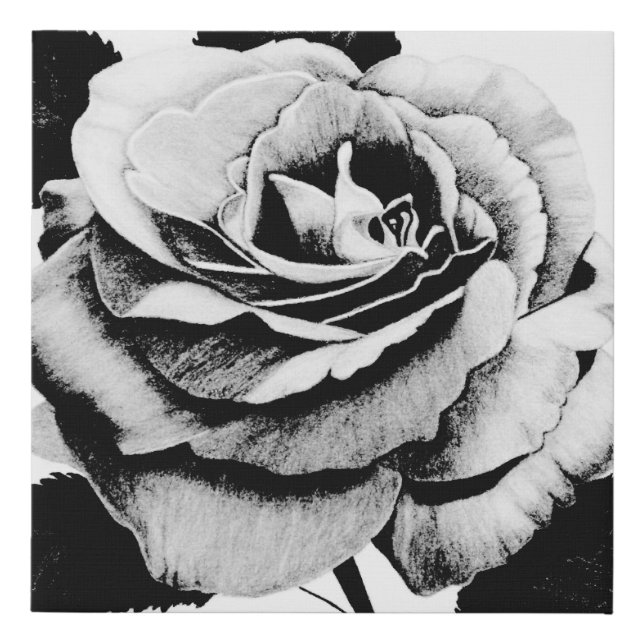 Etched Rose 10x10 Wrapped Print (Front)