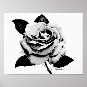 Etched Rose 11x14 Poster