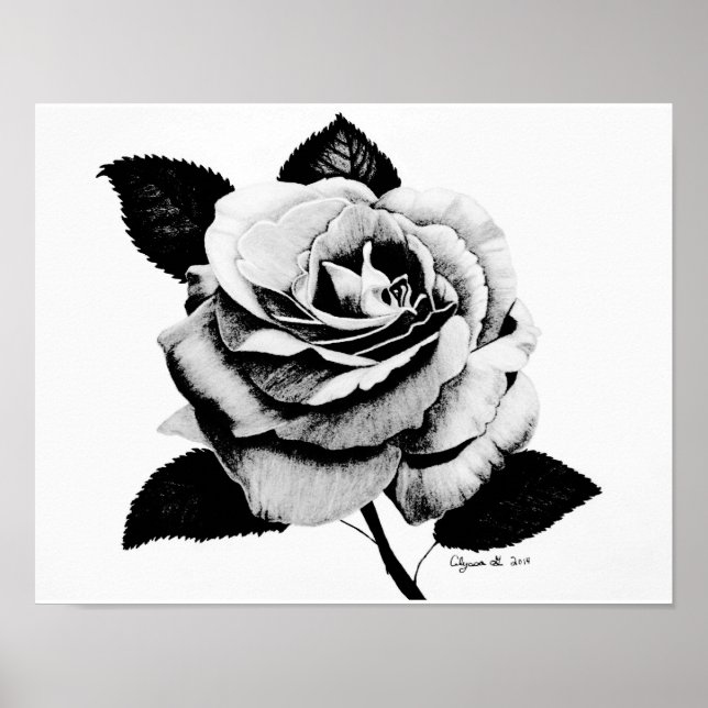 Etched Rose 11x14 Poster (Front)
