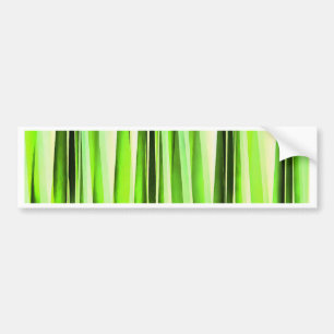 Eternal Evergreen Stripy Pattern Bumper Sticker