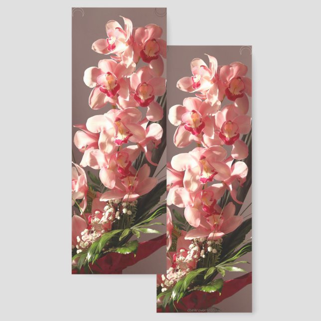 Eternal Mornings Bookmark (Front & Back)