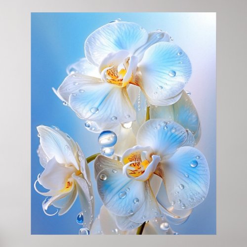 Eternal orchids decorated with droplets poster