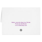 Eternal Purpose Prpl Daisies Cards (Back Horizontal)