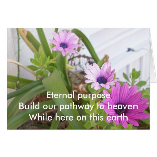 Eternal Purpose Prpl Daisies Cards (Front Horizontal)