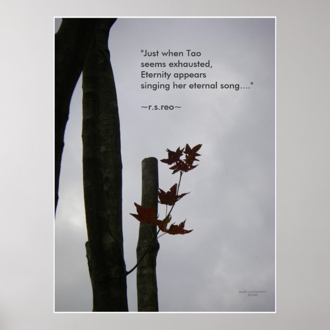 Eternal Song of Life: Nature Zen/Tao Poster (Front)