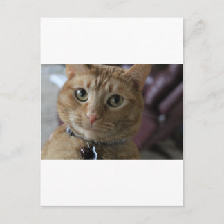 Ethan Postcard