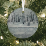 Ethereal 3D Look Winter Scene Glass Ornament<br><div class="desc">Lovely 3D look winter scene will shine and reflect your lights and complement your Christmas tree and the rest of your holiday home.  Gorgeous,  intense colors.</div>