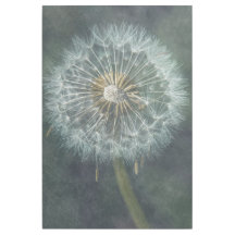 Ethereal Dandelion - Fine Art Print