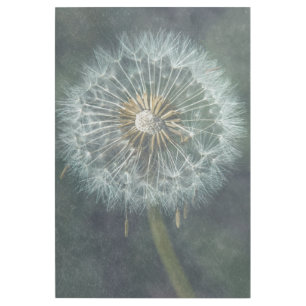 Ethereal Dandelion - Fine Art Print