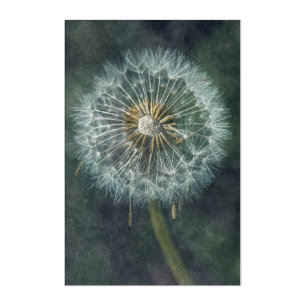 Ethereal Dandelion - Stunning Fine Art Photo