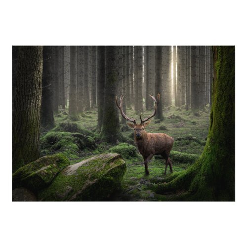 Ethereal Fantasy Forest with Radiant Light Photo Print