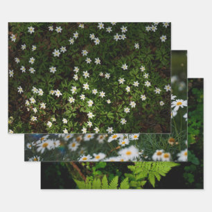 Ethereal Forest Flora, set of 3 art photos Wrapping Paper Sheets