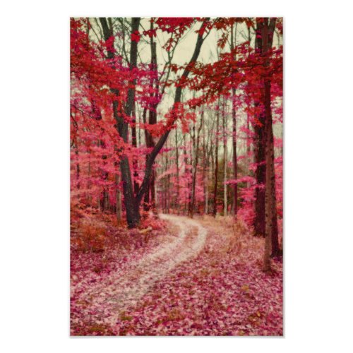 Ethereal Forest Path With Red Fall Colors Photo Print