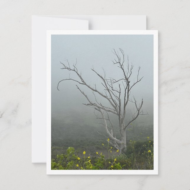 Ethereal Harmony Note Card (Front)