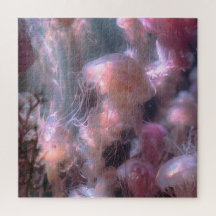 Ethereal Jellyfish