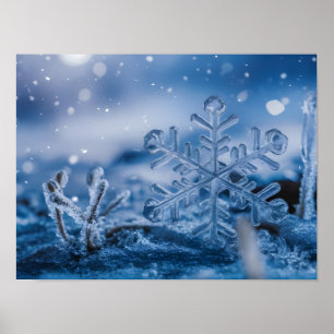 Ethereal Snowflake Ice Crystals Falling on Frozen  Poster