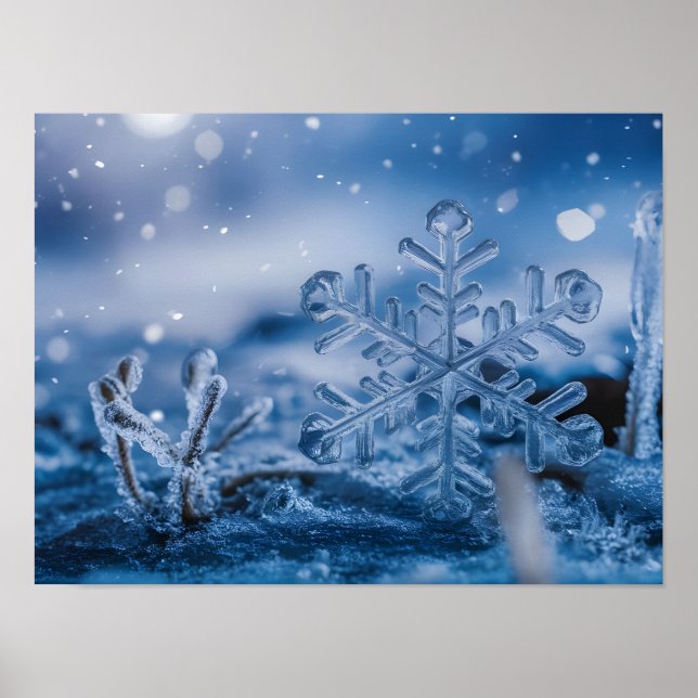Ethereal Snowflake Ice Crystals Falling on Frozen  Poster (Front)