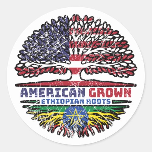 Ethiopia Ethiopian US American USA United States Classic Round Sticker