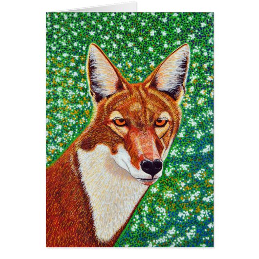 Ethiopian Wolf Cards (Front)