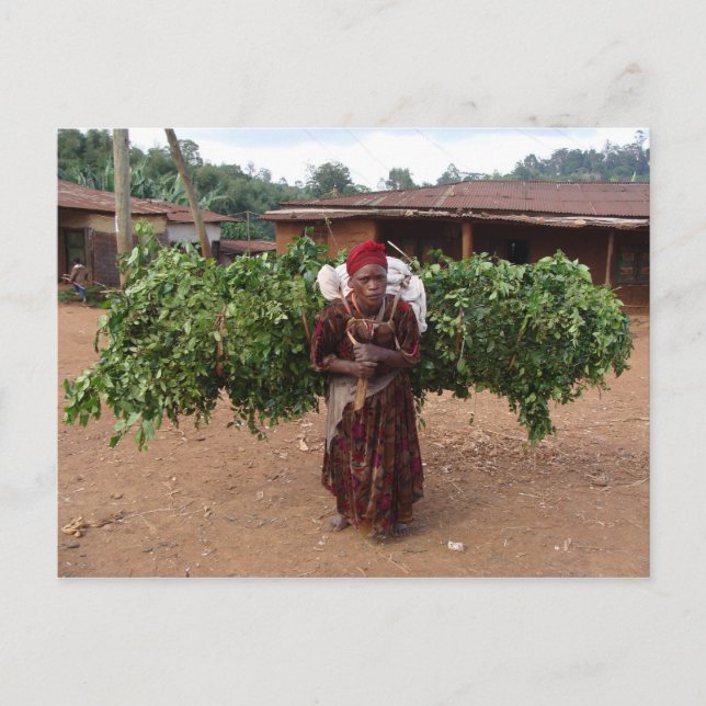 Ethiopian Woman 5 Postcard (Front)
