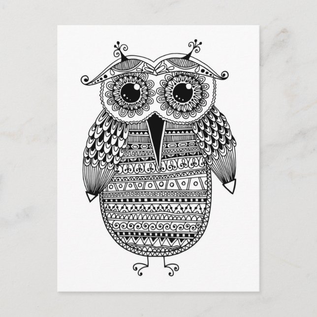 Ethnic Owl Ink Drawing Postcard (Front)