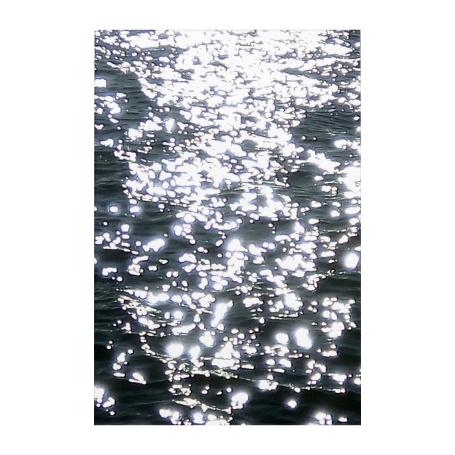 Etoile de Mer Acrylic Wall Art (Front)