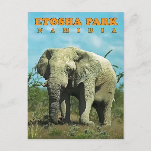 Etosha Namibia Postcard