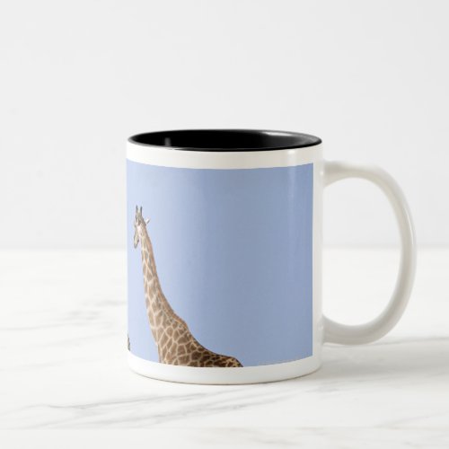 Etosha National Park Namibia 3 Two_Tone Coffee Mug