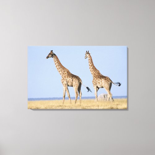 Etosha National Park Namibia Canvas Print