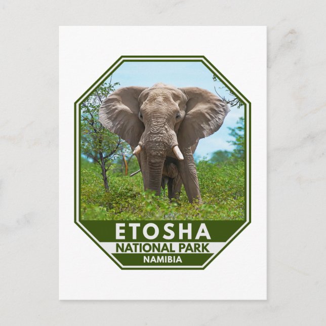 Etosha National Park Namibia Elephant Watercolor Postcard (Front)