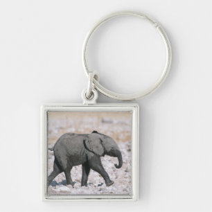 Etosha National Park, Namibia Keychain