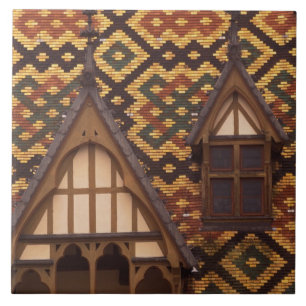 EU, France, Burgundy, Cote d'Or, Beaune. Tiled Tile