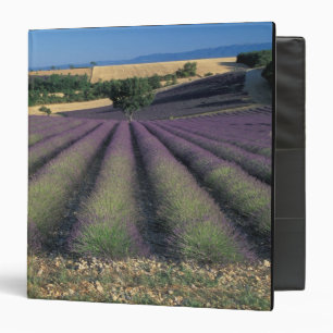 EU, France, Provence, Lavender fields 2 3 Ring Binder