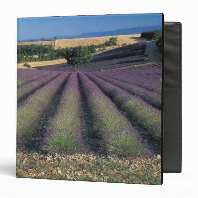 EU, France, Provence, Lavender fields 2 3 Ring Binder (Front/Inside)